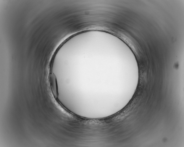 X0000099301092200805231336