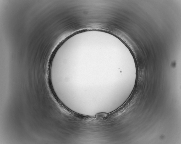 X0000099301093200805231336