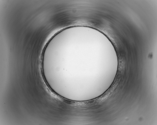 X0000099301094200805231336