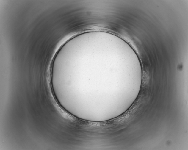 X0000099301098200805231336