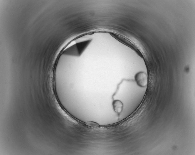 X0000099301100200805231336