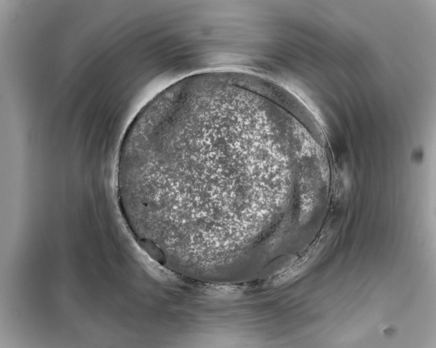 X0000099301101200805231336