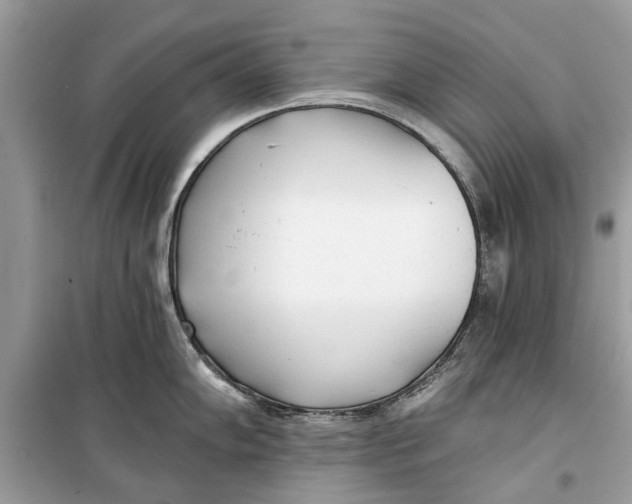 X0000099301102200805231336