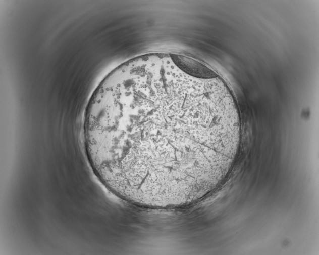 X0000099301103200805231336