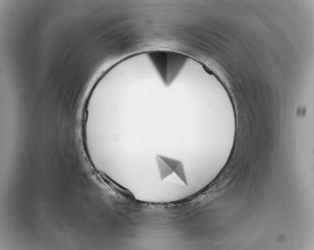 X0000099301104200805231336