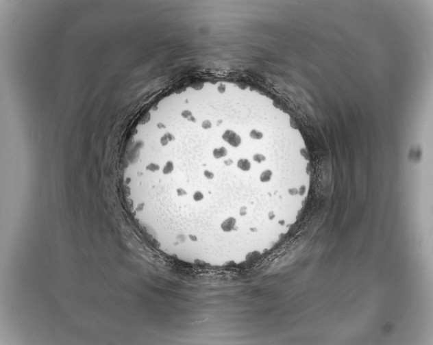 X0000099301105200805231336