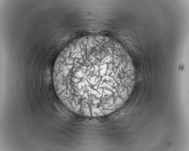 X0000099301106200805231336