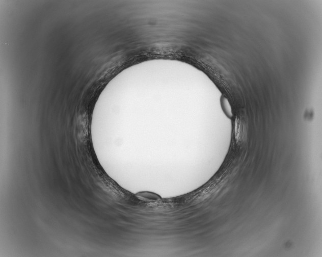 X0000099301107200805231336