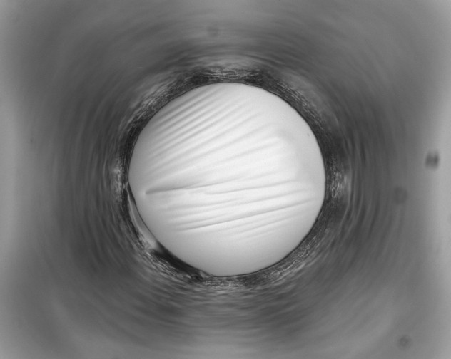 X0000099301108200805231336