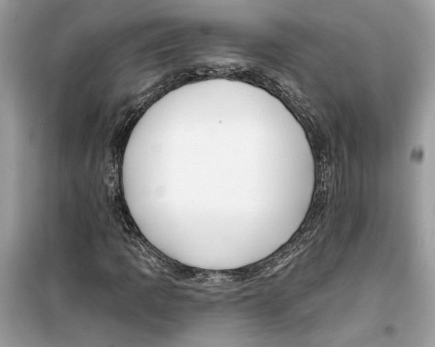 X0000099301109200805231336