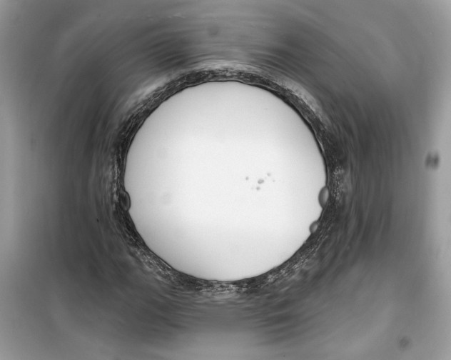 X0000099301111200805231336