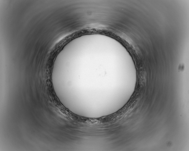 X0000099301112200805231336