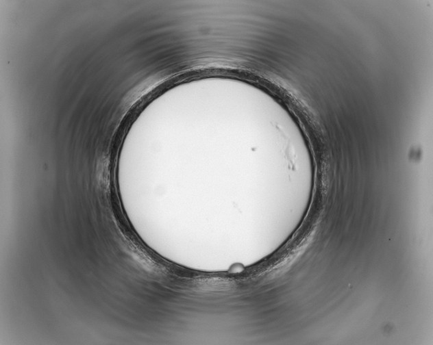 X0000099301113200805231336