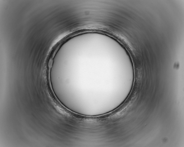 X0000099301114200805231336