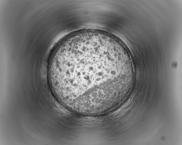 X0000099301115200805231336