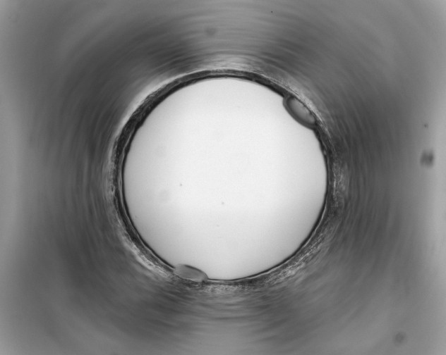 X0000099301116200805231336