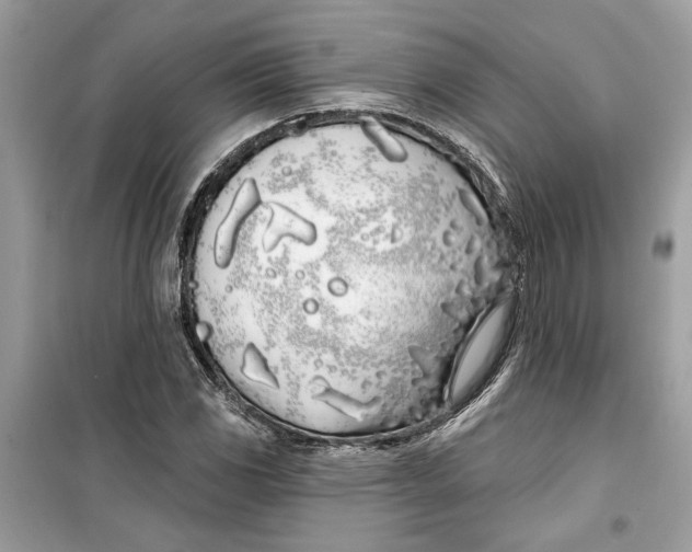 X0000099301117200805231336