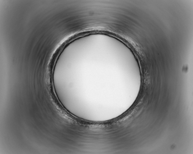 X0000099301118200805231336