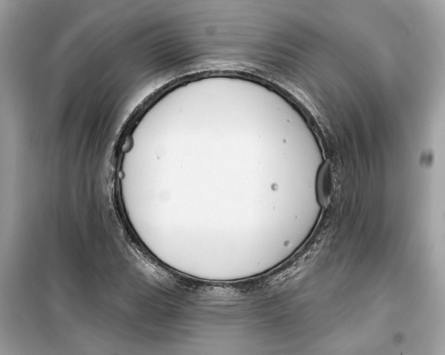 X0000099301119200805231336