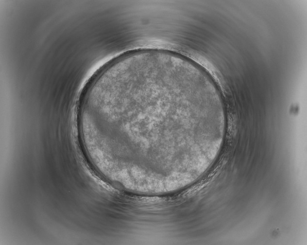 X0000099301120200805231336