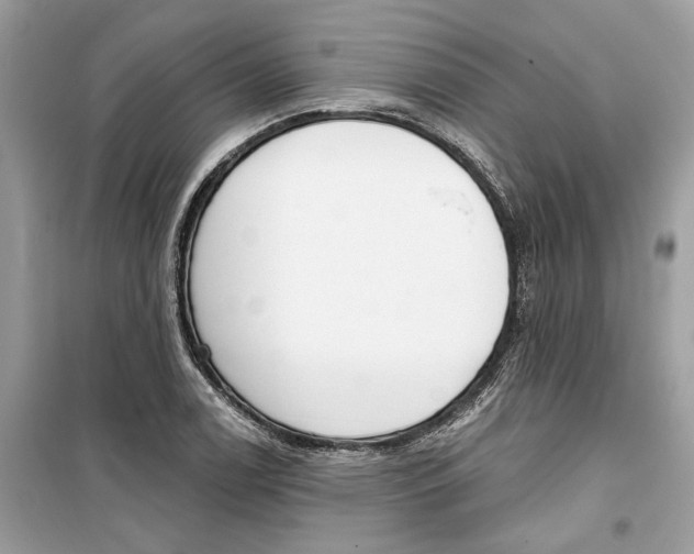 X0000099301122200805231336