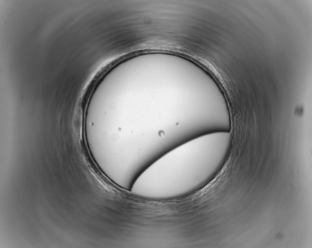 X0000099301123200805231336