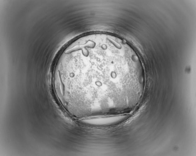 X0000099301125200805231336