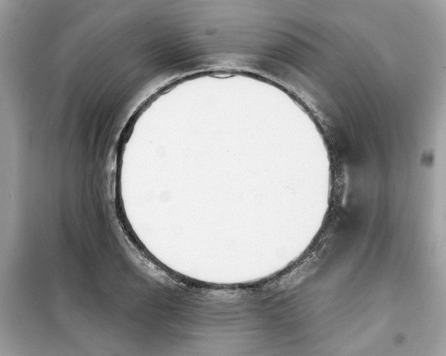 X0000099301126200805231336