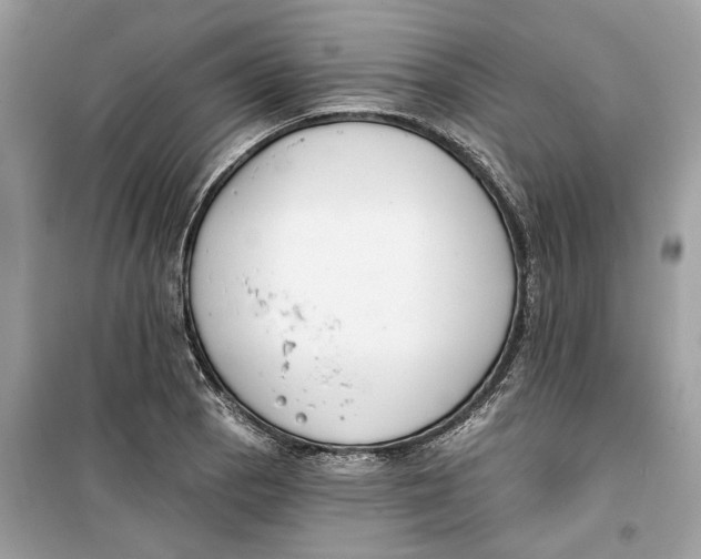 X0000099301129200805231336