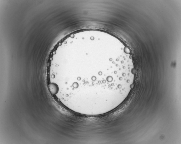 X0000099301130200805231336