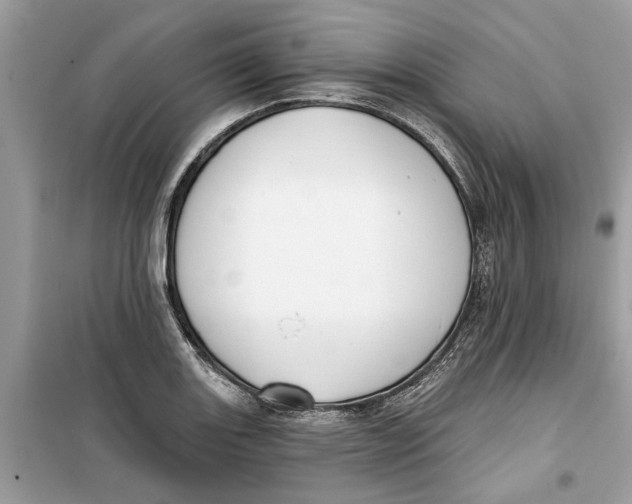 X0000099301131200805231336