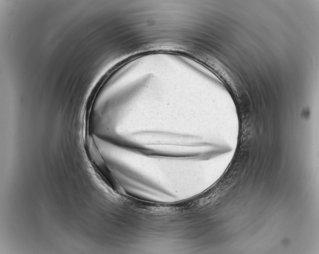 X0000099301132200805231336