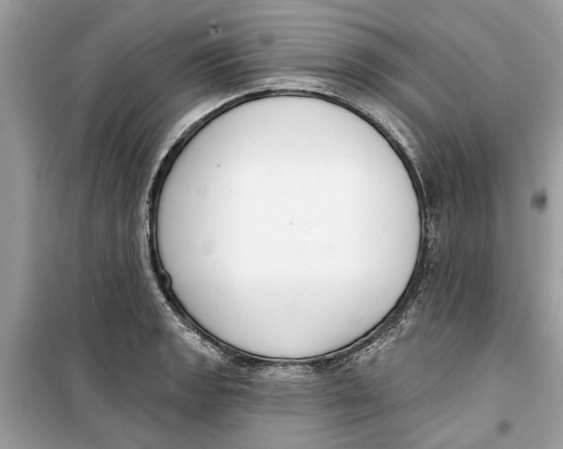 X0000099301133200805231336