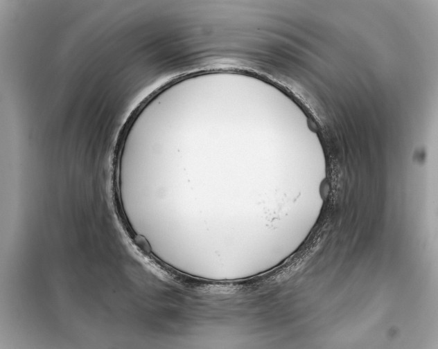 X0000099301134200805231336