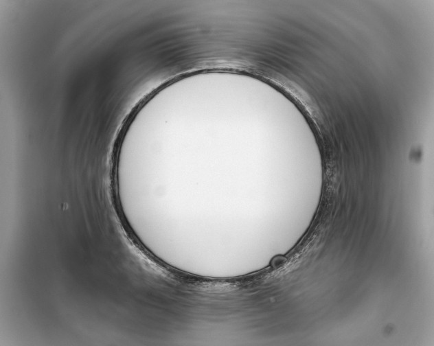 X0000099301135200805231336