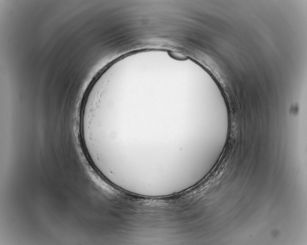 X0000099301136200805231336