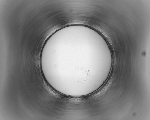 X0000099301137200805231336