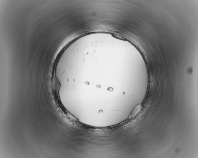 X0000099301138200805231336