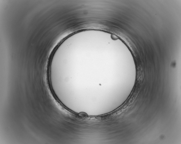 X0000099301139200805231336