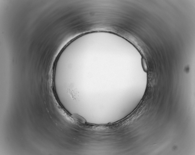 X0000099301140200805231336