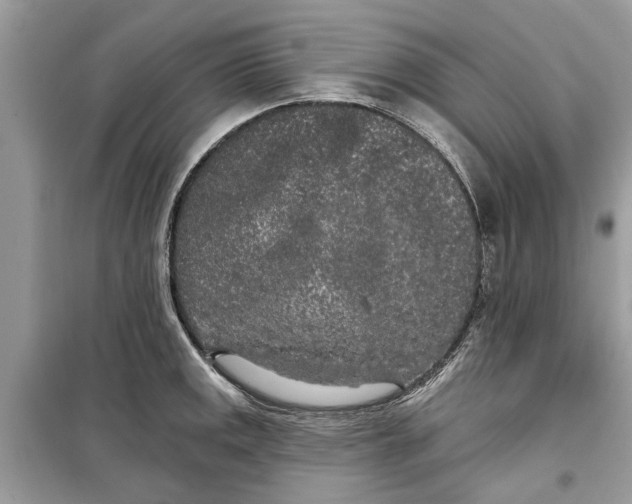 X0000099301141200805231336