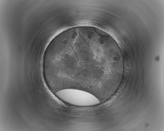 X0000099301142200805231336