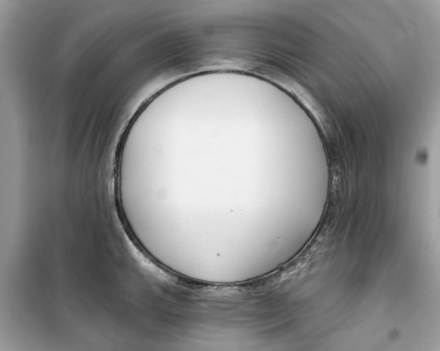 X0000099301143200805231336