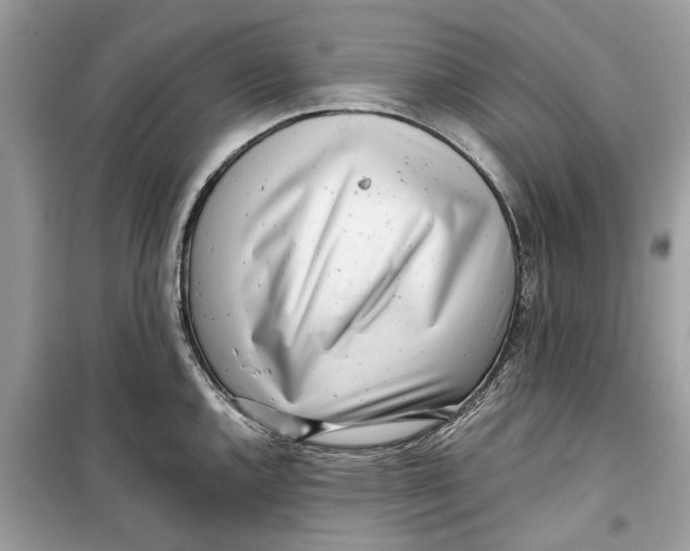 X0000099301144200805231336