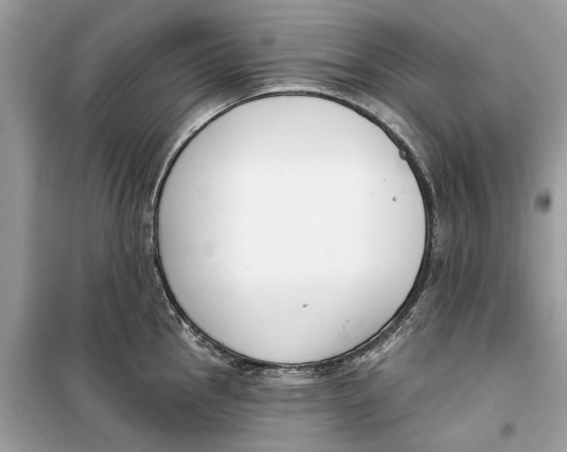 X0000099301145200805231336