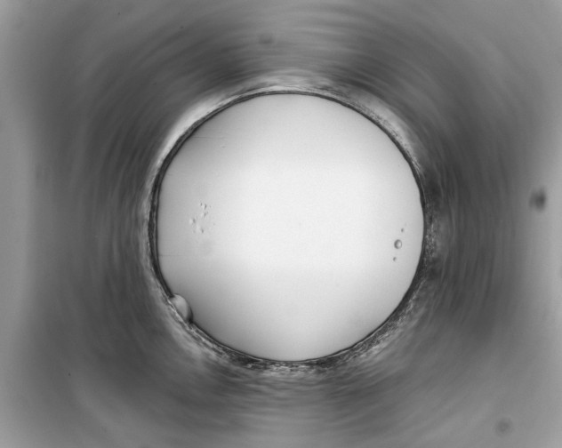 X0000099301146200805231336