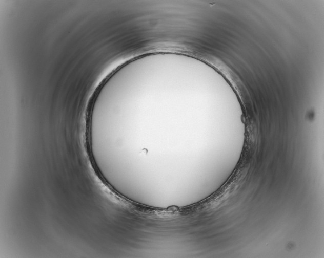 X0000099301147200805231336