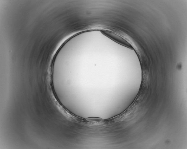 X0000099301148200805231336