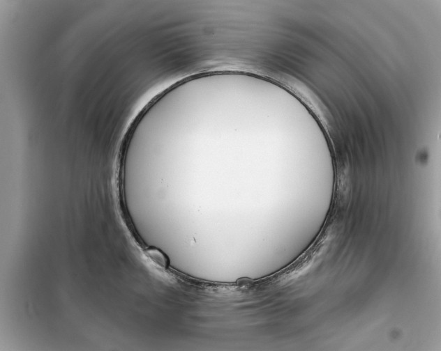 X0000099301149200805231336