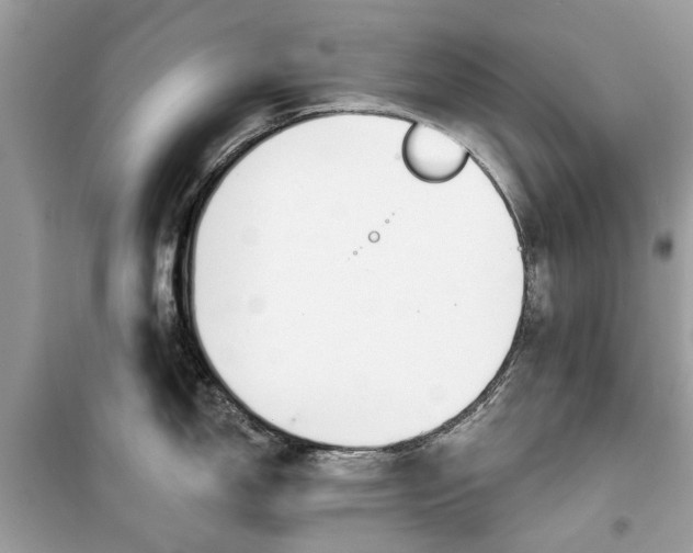 X0000099301150200805231336